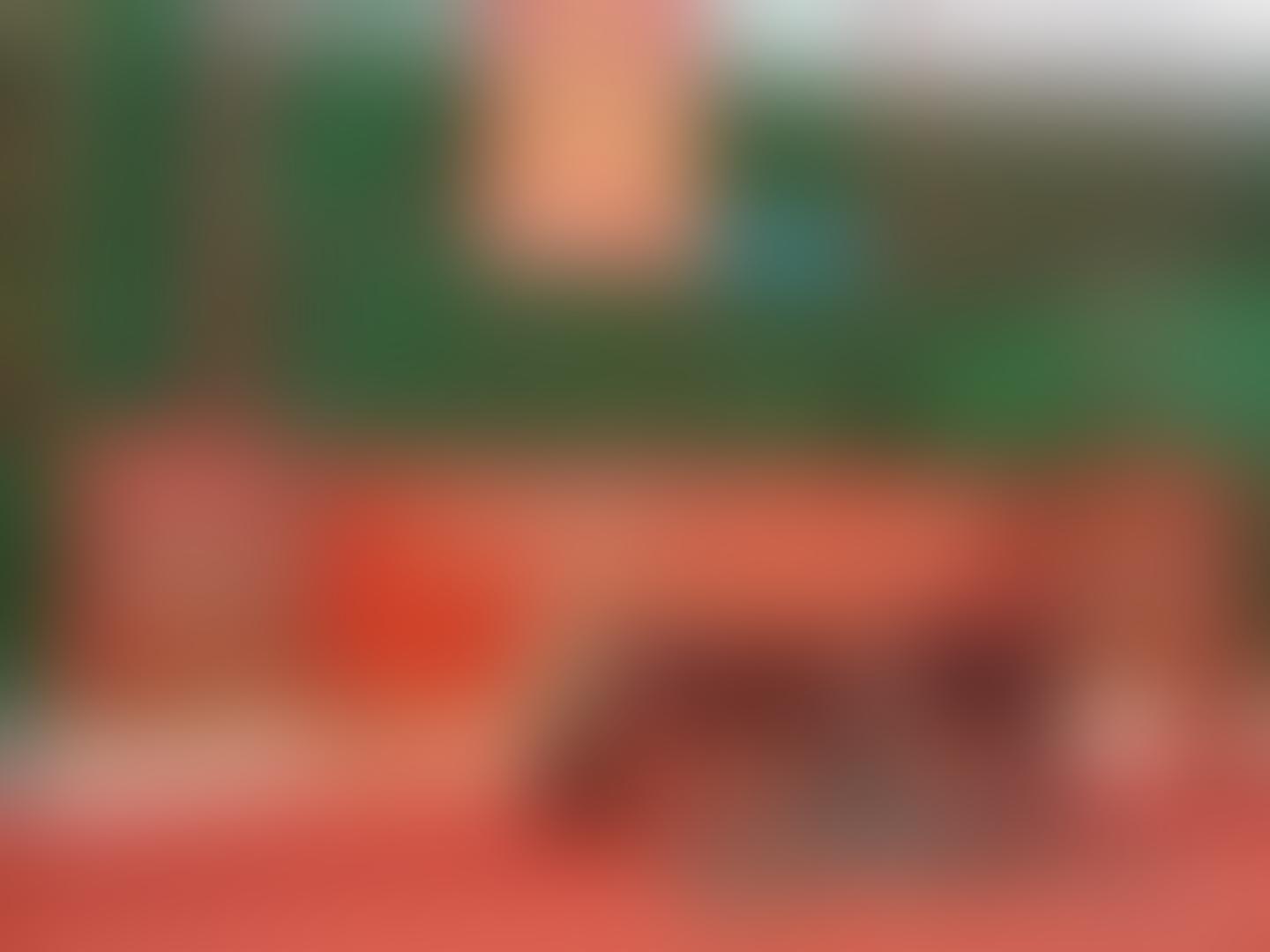 热烈祝贺晋江建投·山姆会员店项目主体结构喜封金顶